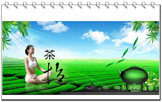 烏龍茶的功效