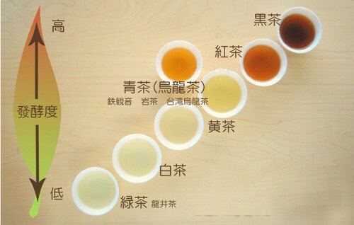 發(fā)酵茶