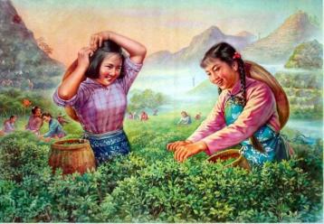 中國茶葉的保健療效