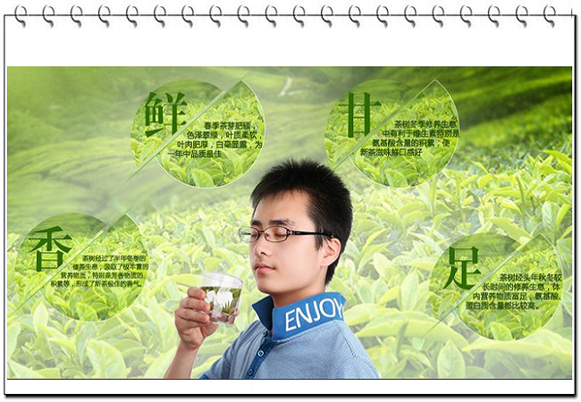 白芽奇蘭功效