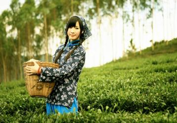 開創茶營銷“個性化服務”新時代|茶葉品牌營銷策劃