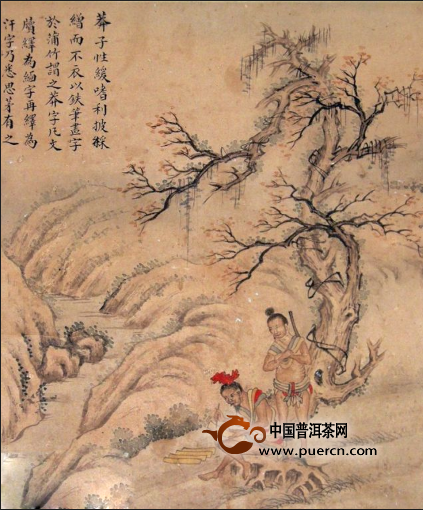 普洱 明